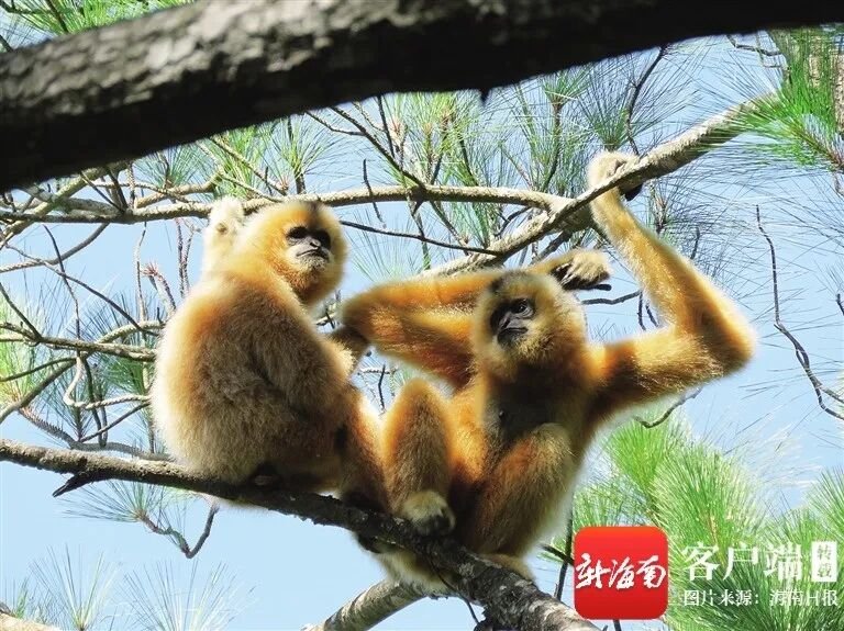 图片2